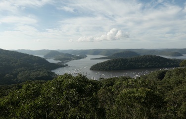 P1011352a.jpg